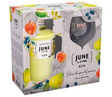 Gvine June Gin Poire 37,5% 0,7 l (dárkové balení 1 sklenička)