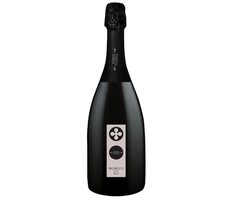 Terra Vizina Prosecco DOC brut 12% 0.75 l 