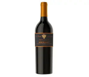 Castellani Merlot delle Venezie 2019 12,5% 0,75 l 
