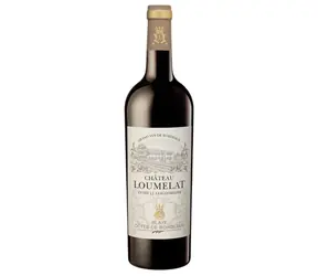 Vignobles Lesgourgues Chateau Loumelat Cuvee JJ Lesgourgues 2021 13% 0.75 l