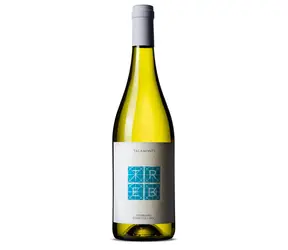Tenuta Talamonti Trebbiano d´Abruzzo TREBI DOC 2024 12% 0.75 l