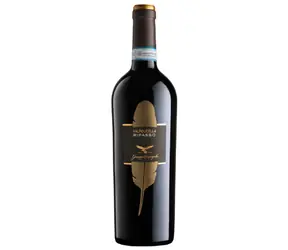 Giuseppe Campagnola Valpolicella Ripasso Classico Superiore DOC 2023 14% 0,75 l