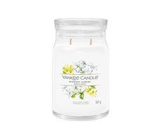 Yankee Candle Signature Midnight Jasmine velká sklenice 567g