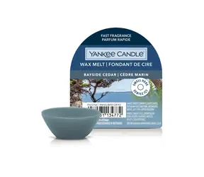 Yankee Candle Bayside Cedar vonný vosk do aromalampy 22g / doba hoření až: 8 h