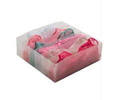 Compactor Optimo Transparentní organizer do zásuvky na spodní prádlo - 6 přihrádek