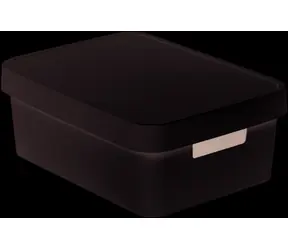 Curver Infinity Úložný box s víkem - Pevný 11 l bílá / 36 x 14 x 27 cm