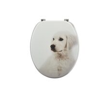 MSV SCOTT WC prkénko s motivem / MDF