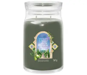 Yankee Candle Parisian Olive & Cypress Signature velký