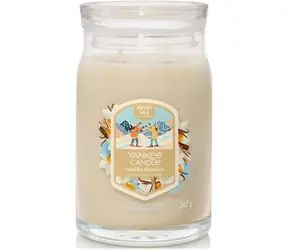 Yankee Candle VANILLA FLURRIES Signature střední