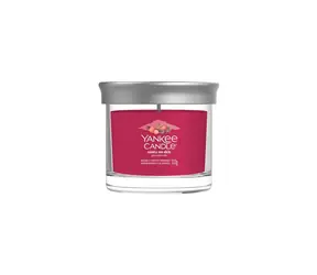 Yankee Candle SANTA ON SKIS Signature Tumbler malý