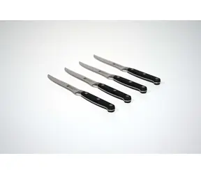 Zwilling Professional S Sada 4 nožů na steaky / délka čepele 12 cm / 4 ks / doprodej