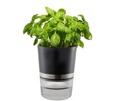 Gefu Botanico / samozvlažovací květináč na bylinky / 14.2 x 18.5 cm / nylonový knot