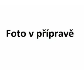 STAUB 40511-684-0 litinová grilovací pánev 28 cm