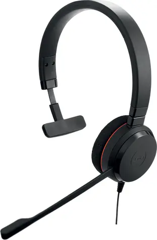 Jabra Evolve 20 černá / Pro callcentra / Mono / mikrofon / USB-C+USB-A / MS