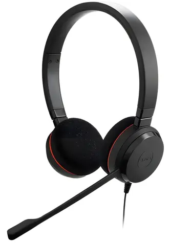 Jabra Evolve 20 černá / Pro callcentra / Stereo / Mikrofon / USB-C + USB-A / UC