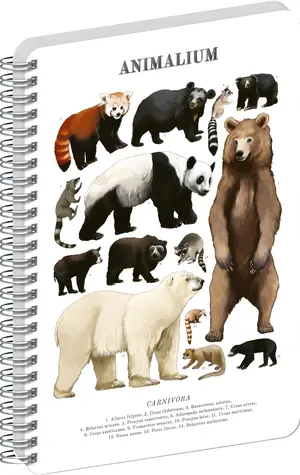 NOTIQUE Animalium Medvědovité šelmy / Spirálový blok / A5 / čistý
