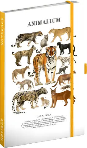 NOTIQUE Notes Animalium – Kočkovité šelmy / Linkovaný zápisník / A5 / 172 stran