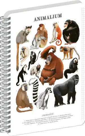 NOTIQUE Animalium – Primáti / Spirálový blok / A5 / čtverečkovaný