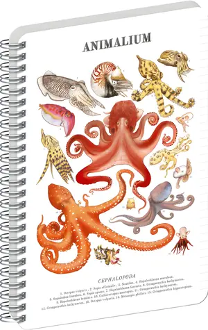 NOTIQUE Animalium – Hlavonožci / Spirálový blok / A4 / linkovaný