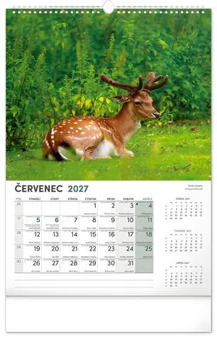 NOTIQUE Nástěnný kalendář Myslivecký 2027 / 33 × 46 cm
