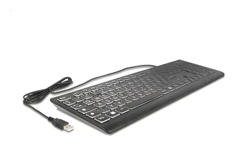 DeLock klávesnice XXL černá / Klávesnice / Drátová / Mechanická / RGB / Numpad / QWERTZ