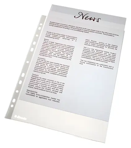 Leitz Esselte Economy / Euroobal / A4 / 43 mic / 100 ks