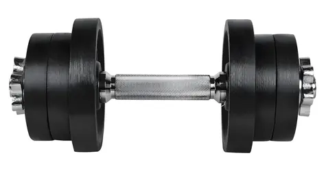 RULYT Jednoruční činka Angular 13 kg / nakládací / 30 mm tyč / 6× kotouč