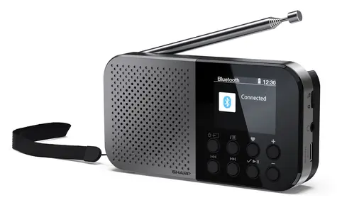 Sharp DR-P520 OSAKA šedá / Přenosné rádio / Digitální tuner / Bluetooth 5.3 / Displej 2" / USB-C
