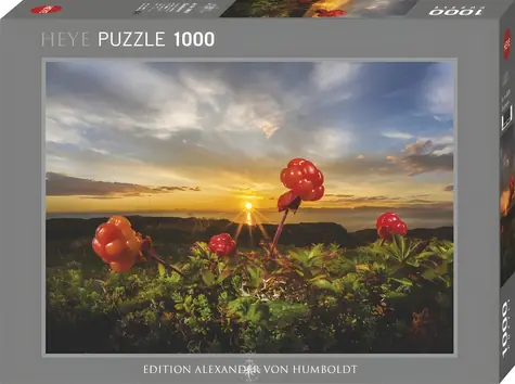 HEYE Puzzle Ostružiny moruška / 1000 dílků / Alexander von Humboldt Edition / 70 x 50 cm