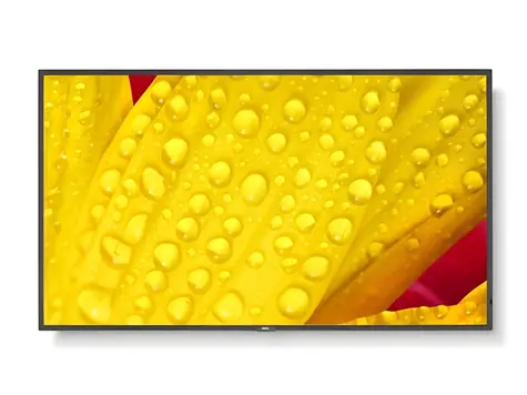 65" NEC MultiSync M651-2 / Velkoformátový displej / IPS / 4K UHD / 500 cd/m2 / DP / HDMI