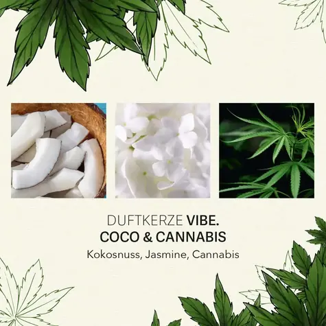 Candle Brothers CBD Vibe Coco & Cannabis / Vonná svíčka / 350 g