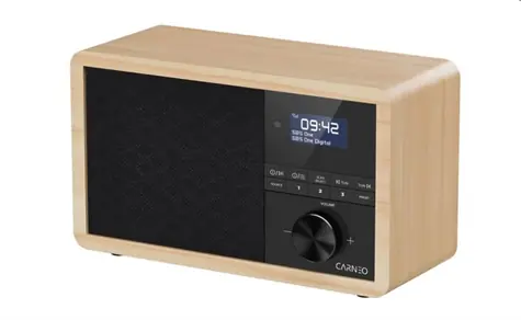 CARNEO P530 dřevo / Radiobudík / DAB+ / FM / Bluetooth / OLED displej