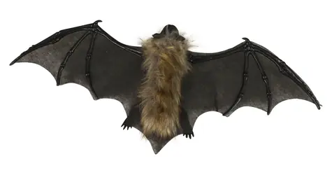 RAPPA Dekorace netopýr 40 cm / Halloweenská dekorace / Rozpětí křídel 40 cm