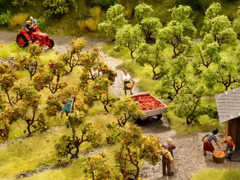 NOCH Jabloň s plody sada 12 ks / H0 (měřítko 1:87), TT (měřítko 1:120) / výška 3,5 cm / od 14 let