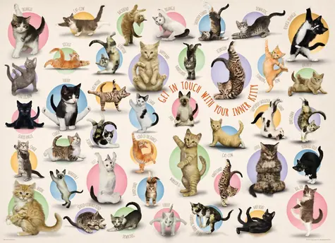 EUROGRAPHICS Puzzle Kočičí jóga XL / 500 dílků / 68 x 48 cm