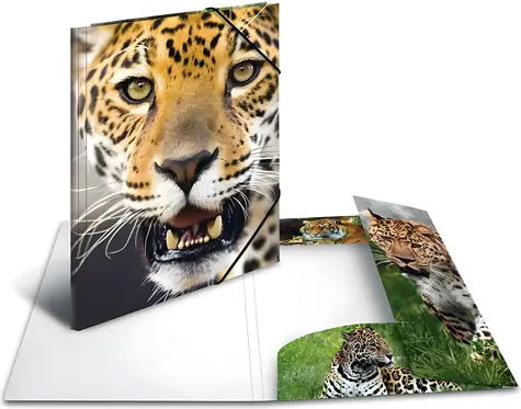 Herma Desky s gumičkou Leopard A4 / Desky s gumičkou / Polypropylen / Vícebarevné