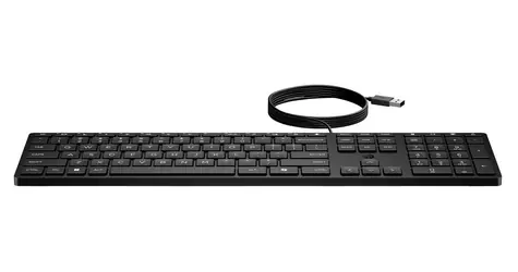 HP 320K černá / Drátová klávesnice / USB