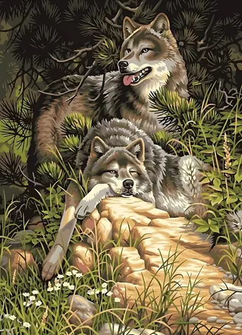 NORIMPEX Diamantové malování Vlci v lese / Diamantové malování / 30x40 cm