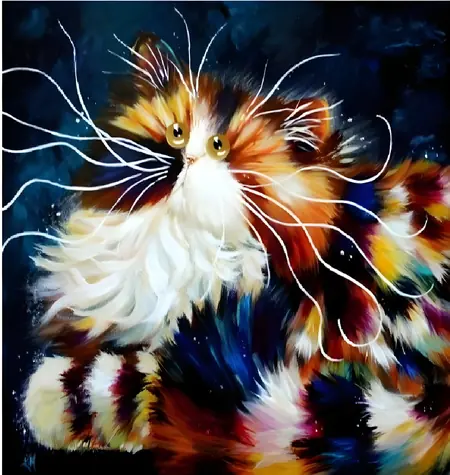 NORIMPEX Diamantové malování Nadýchaná kočka / 30x40 cm