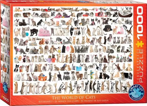 EUROGRAPHICS Puzzle Svět koček / 1000 dílků / 67,6 × 48,9 cm