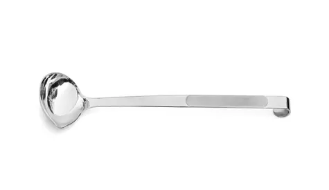Weis Avantgarde omáčková lžička nerez / 70 ml / délka 32 cm / nerezová ocel