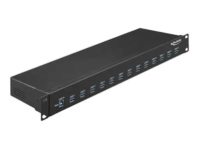 Delock 19" průmyslový USB hub 13x USB-A černá / USB hub / USB 3.2 Gen 1 / 5000 Mbit/s / kov
