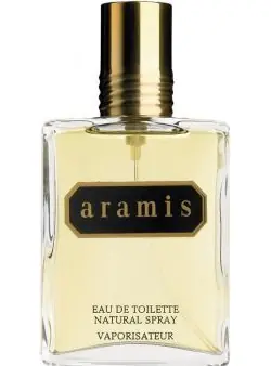 Aramis For Man / Pánská toaletní voda / EDT / 110 ml