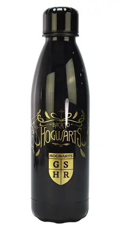 Blue Sky Studios Láhev Harry Potter / Láhev / 650 ml