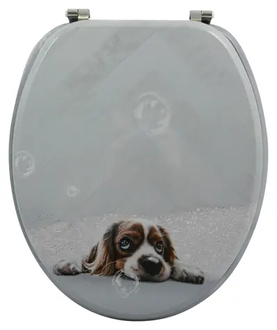 MSV DOGGY WC prkénko s motivem / MDF