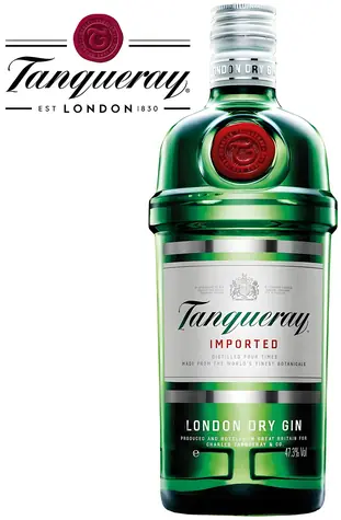 Tanqueray Gin London Dry Gin 43,1 % 1 l