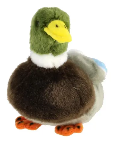 TEDDIES Plyšový kačer divoká kachna 18 cm / Plněný kuličkami / od 0 měsíců