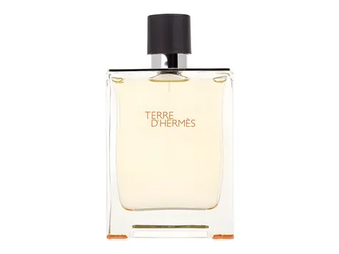 Hermes Terre d'Hermes Toaletní voda 200 ml