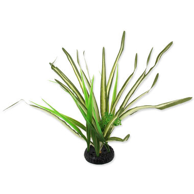 Repti Planet Rostlina travina Spartina 30cm