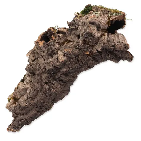 Repti Planet Korková kůra M 15-30cm